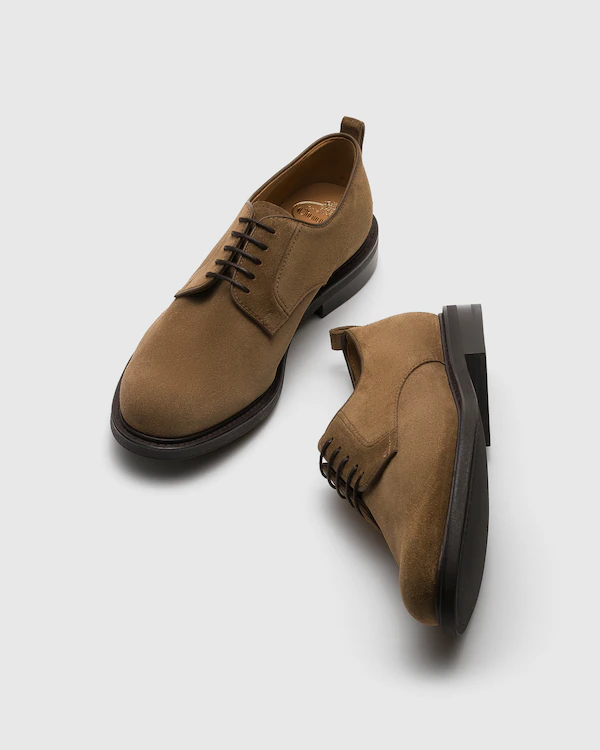 Pentire Suede Derby